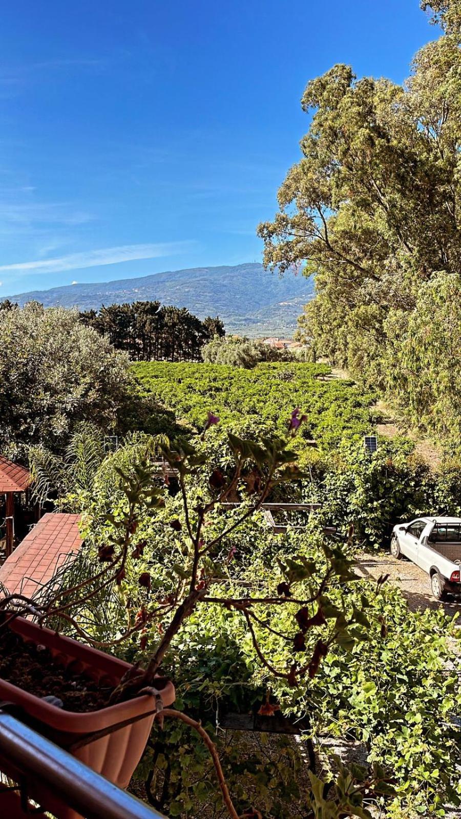 B&B Pineta Mare Lamezia Terme Exteriör bild