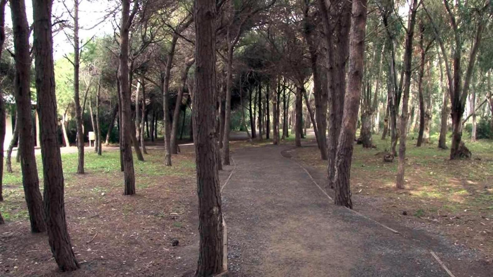 B&B Pineta Mare Lamezia Terme Exteriör bild